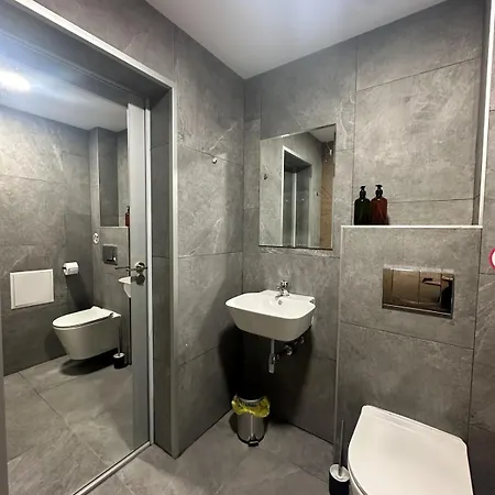 Private Desk Fridge Shared Bathroom Lejlighed *